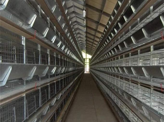 types of poultry houses_shandong tobetter style complete